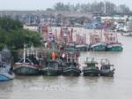 เรือประมงปัตตานีแห่เข้าฝั่ง หวั่นเโดนหางเลขพายุใต้ฝุ่น “ไห่เยี่ยน”