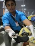 สื่อนอกเผย พบการลักลอบนำเข้า “เต่า” หลายพันที่สนามบิน “สุวรรณภูมิ”