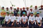 ซีพีเอฟชวนคนไทยปลูกป่าชายเลนเทิดไท้องค์ราชัน