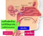 หยุดอ้วน! ลดภาวะหยุดหายใจขณะหลับและกรดไหลย้อน