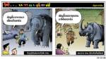 ช้างบุรีรัมย์มาหากินใน กทม. แรดจาก กทม.ไปหากินที่บุรีรัมย์