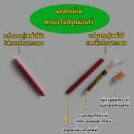 หมอปอดรับ “บารากู่ไฟฟ้า” ไม่เสพติด แต่สูด “ควัน” อันตรายแน่