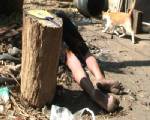 อนาถ! หนุ่มใหญ่ก่อไฟคลายหนาว ถูกเผาเกรียมครึ่งตัว