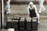 South Korea orders bird flu lockdown