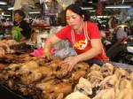 ชาวไทยเชื้อสายจีนสุราษฎร์ฯ ชอปวันจ่ายเทศกาลตรุษจีนคึกคัก