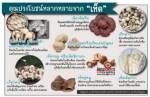 คุณประโยชน์หลากหลายจาก “เห็ด”