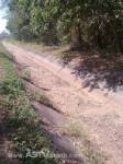 ชลประทานสตูล หวั่นน้ำในฝายไม่พอ แนะชาวนาลดปริมาณปลูกข้าวนาปรัง