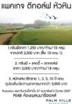 ปาล์มฮิลส์จัดโปรโมชั่นงานไทยเที่ยวไทย