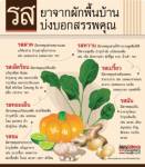 รสยาจากผักพื้นบ้าน บ่งบอกสรรพคุณ