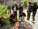 ตร.ตามรวบทันควันคู่เขยโหดต้องสงสัยฆ่าอดีต ผญบ.