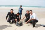 พบซากโลมาเหลือแต่หัว เกยหาดหินขาวแม่รำพึง