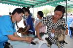 ทม.จันท์ร่วมกับปศุสัตว์ฯ จัดโครงการป้องกันควบคุมโรคพิษสุนัขบ้า