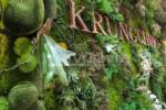 คลิป ‘KRUNGCHING’ จัดสวนแนวตั้งจาก “ดอกไม้ประดิษฐ์”