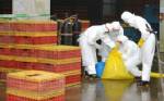 จีนพบเชื้อไวรัสหวัดนก H7N9 ฟื้นชีพ สั่งเฝ้าระวังสถานการณ์เข้มงวด