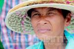 สบน. เปิดแผนกู้เงินจ่ายหนี้โครงการรับจำนำข้าวให้ชาวนา เน้นดีมานด์ตลาดสูง-ต้นทุนต่ำ