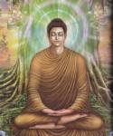 นานาสารธรรม : พระะพุทธเจ้าตรัสรู้อะไร?