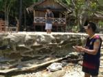 พบเต่ากระอายุ 10 ปี ตายเกยหาดเกาะเสม็ด