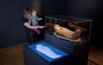 Students discover 7,000-year-old mummy in Chile