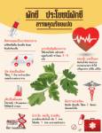 ประโยชน์ผักชี สรรพคุณร้อยแปด