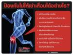 ป้องกันไม่ให้เข่าเสื่อมได้อย่างไร? [INFO]