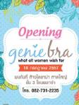 ไดอาน่า หาดใหญ่ เปิดตัวแบรนด์ Genie Bra เอาใจสาวสาว
