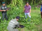 ตร.ท้ายเหมือง จ.พังงา ตรวจยึดอาวุธสงครามซุกในสวนปาล์ม
