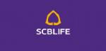 ฝรั่งเล็งใช้ไทยฮับธุรกิจประกัน SCBLIFE ปัดดึงทุนนอกถือหุ้น