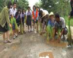 ชาวบ้านประชด อบจ.นครพนม ถนนพังเมินซ่อม พากันดำนาประท้วง