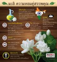 มะลิ ความหอมคู่สรรพคุณ