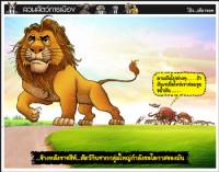 ...ข้างหลังราชสีห์...สัตว์กินซากกลุ่มใหญ่กำลังรอโอกาสของมัน