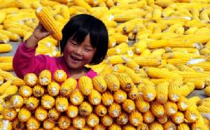 เซินเจิ้นกวดขันอาหารจีเอ็มโอ สั่งปรับหนักผู้ผลิตจำหน่ายติดป้ายฉลากไม่ถูกต้อง
