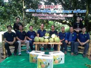 เวียงแก่นได้ฤกษ์จัดงานส้มโอปลาย ส.ค.นี้