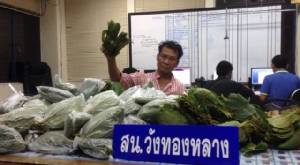 รวบหนุ่มใหญ่เอเยนต์ค้าใบกระท่อม