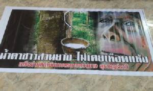 ราคายางวิกฤตหนักนัด 63 จังหวัด เคลื่อนไหวอังคารนี้