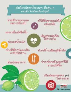 ประโยชน์ของน้ำมะนาว ดื่มอุ่น ๆ ยามเช้า ดีแค่ไหนต้องพิสูจน์