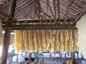 พม่าลุ้นผ่านตรวจคุณภาพยางส่งออกตลาดญี่ปุ่นเดือนหน้า