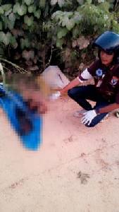 สุดสลด! พบศพเด็กทารกถูกฆ่ายัดกล่องกระดาษทิ้งข้างวัด (ชมคลิป)