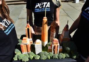 Charity declares New York vegan capital of 2014