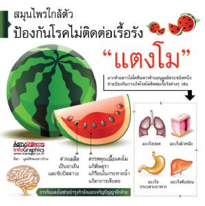 สมุนไพรใกล้ตัว "แตงโม" ป้องกันโรคไม่ติดต่อเรื้อรัง