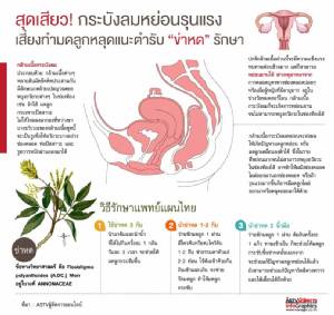 สุดเสียว! กระบังลมหย่อนรุนแรง เสี่ยงทำมดลูกหลุดแนะตำรับ “ข่าหด” รักษา