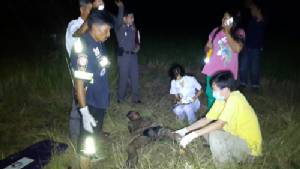 เด็ก 14 เครียดปีนไฟฟ้าแรงสูงพลัดตกดับ