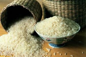 แนะปรับข้าวไทยเป็นสายพันธุ์น้่ำตาลต่ำ ช่วยคุมน้ำหนัก สกัด “อ้วน-เบาหวาน”