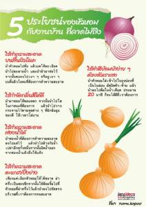 5ประโยชน์ของหัวหอมที่คุณคาดไม่ถึง กับการใช้งานในบ้าน