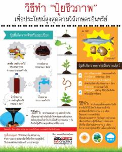 วิธีทำ "ปุ๋ยชีวภาพ"  เพื่อประโยชน์สูงสุดตามวิถีเกษตรอินทรีย์