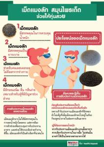 เม็ดแมงลัก สมุนไพรเด็ด        ช่วยให้หุ่นสวย