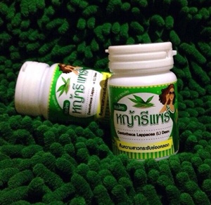 ระวัง! ขายแคปซูลหญ้าฮี๋ยุ่มเกลื่อนเน็ต กรมแพทย์แผนไทยชี้ยังอยู่ช่วงวิจัย