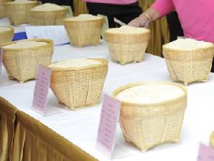 “พาณิชย์” เตรียมเปิดประมูลข้าวอีก 2 แสนตัน 22 ต.ค.นี้