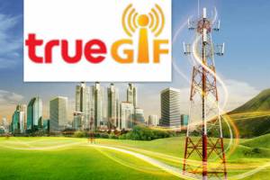 TRUEIF แกร่ง DTAC เช่าเสาสัญญาณ พร้อมจ่ายปันผลกว่า 1.5 พันล้าน