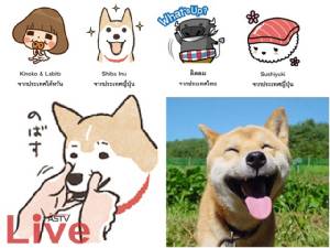 ของฟรียังมีในโลก..ของดียังมีไลน์!!!