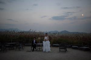 Italian marriage numbers sink to new low